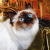 1045.gif